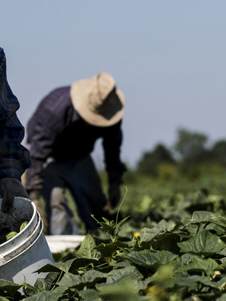 Canadian slavery- Then and now